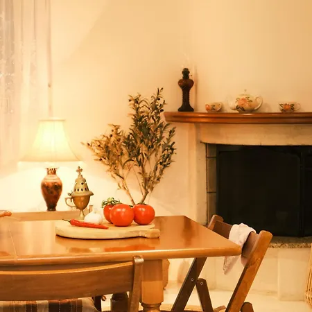 Vila Anastasia Apolakkia